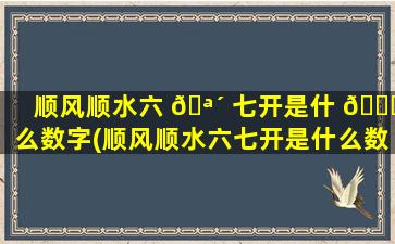 顺风顺水六 🪴 七开是什 🐈 么数字(顺风顺水六七开是什么数字啊)